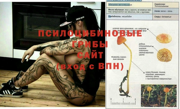a pvp Кукмор