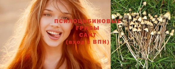 a pvp Кукмор