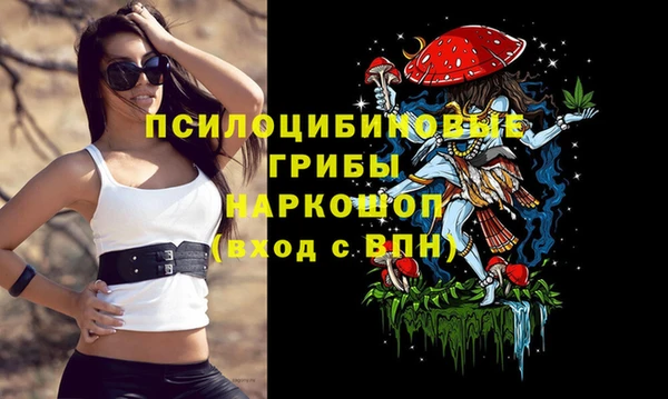 a pvp Кукмор